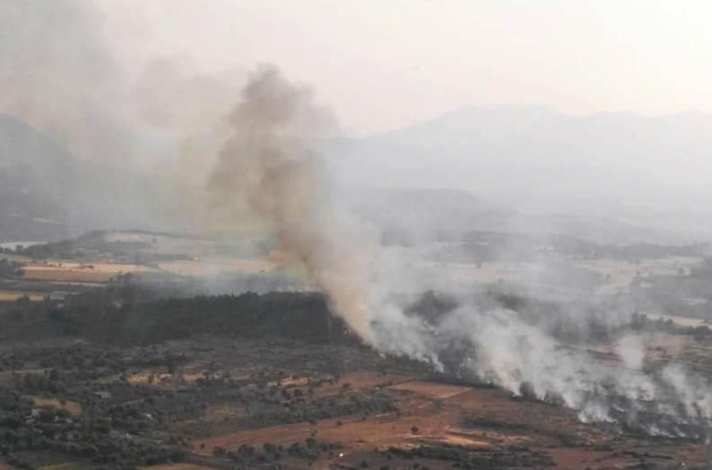 Fethiye'de 20 hektar orman kül oldu